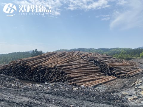河道打樁為什么選擇松木樁來處理軟地基？-松木樁施工使用范圍