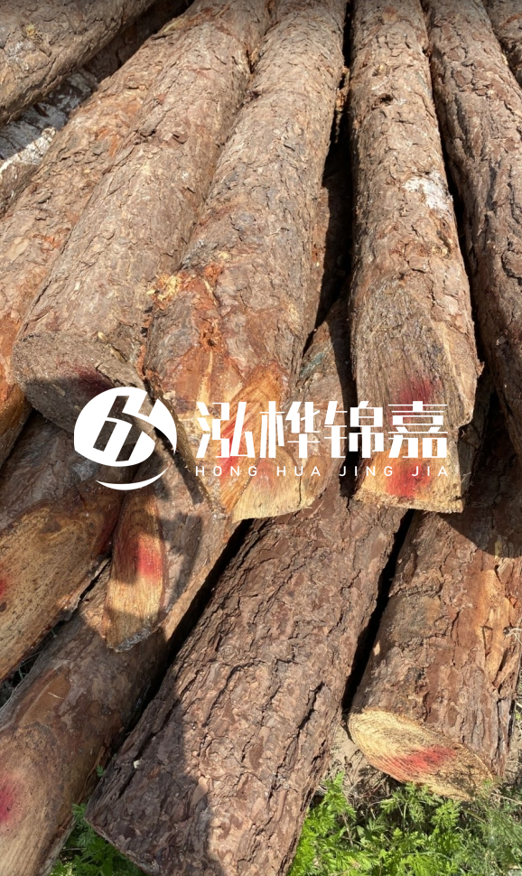 <strong>松木樁和杉木樁的用途區(qū)別？哪個(gè)更適合打樁用？</strong>