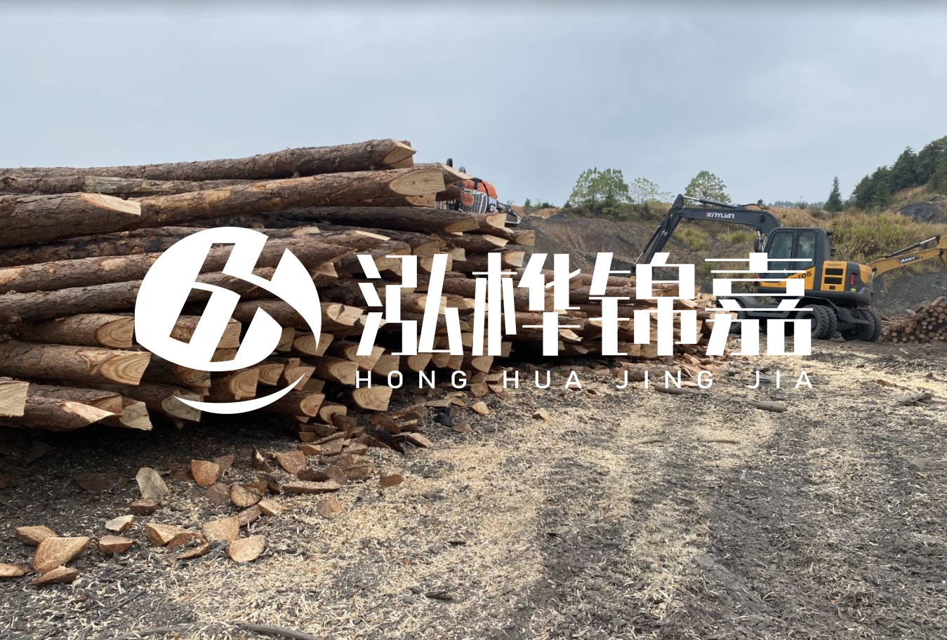 松木樁尾徑是什么意思？