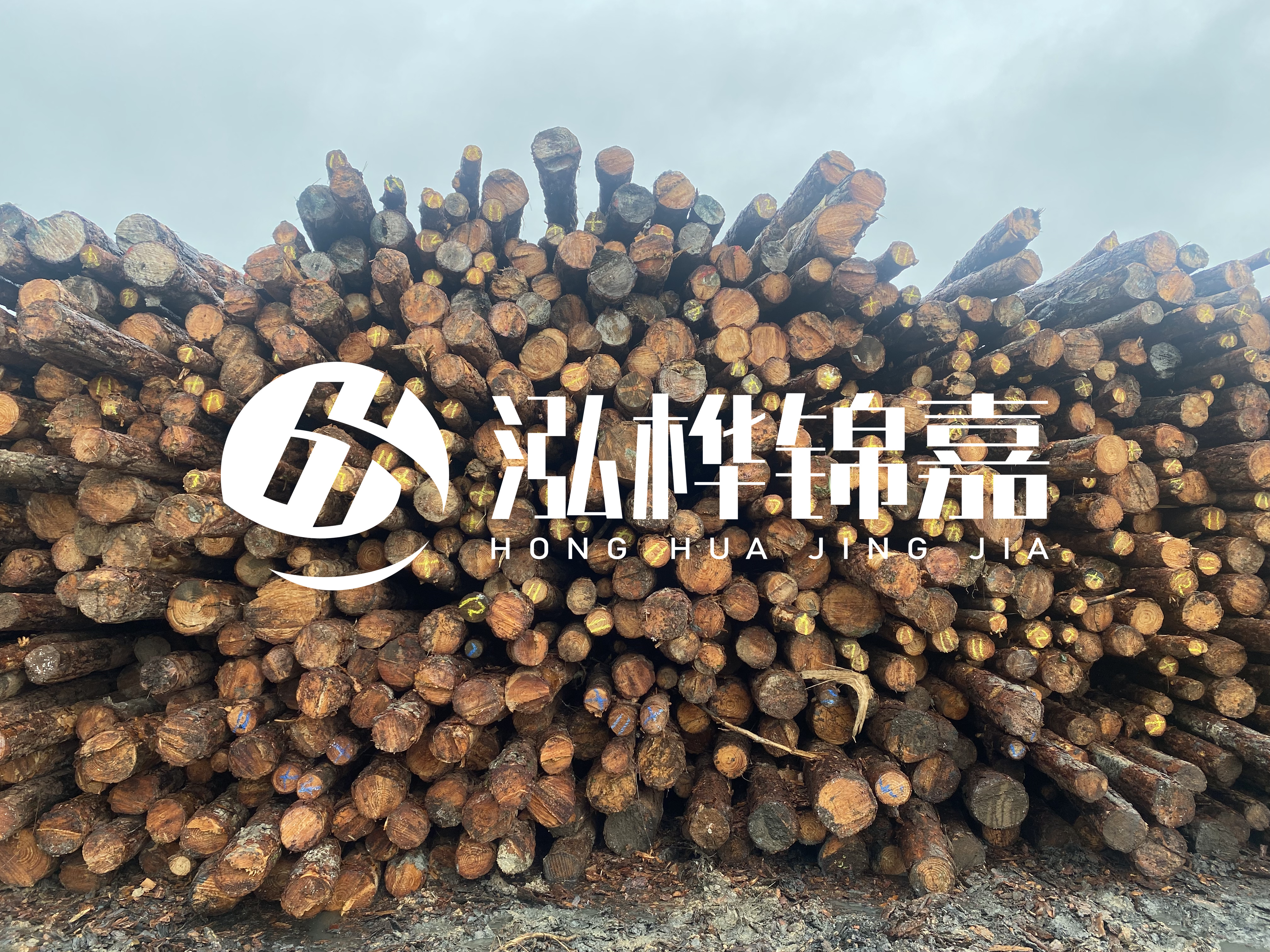 松木樁的直徑一般取多少？