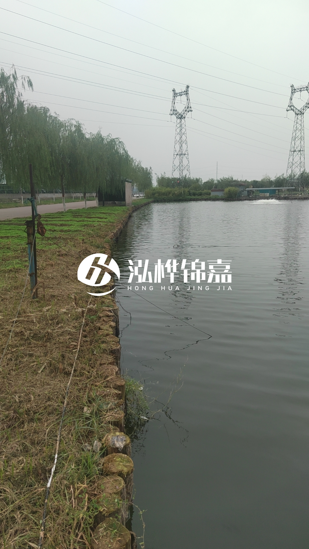 大同河道打松木樁施工-護坡木樁新的好還是舊的？