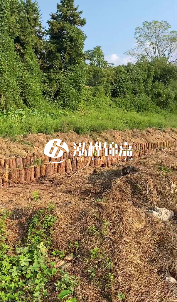 許昌河道清淤專(zhuān)業(yè)施工-河道污水治理要多長(zhǎng)時(shí)間？