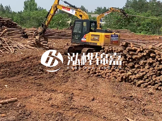 河道松木樁廠家聯(lián)系方式-6米10-15公分價格是多少？