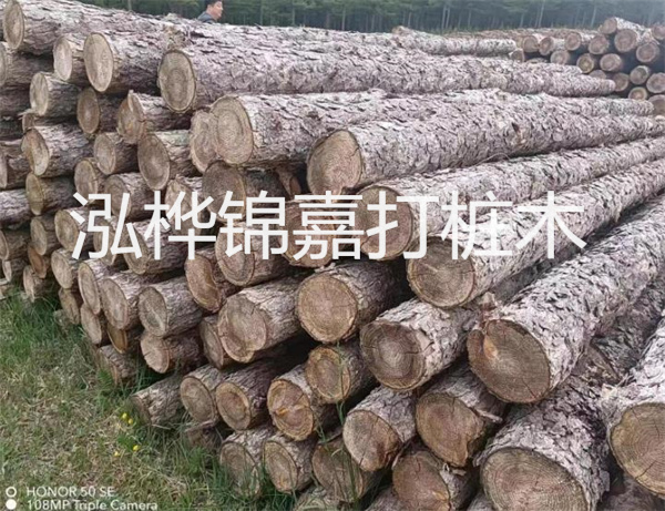 高效修補(bǔ)，保駕護(hù)航！水泥路面高強(qiáng)度修補(bǔ)料為您解決煩惱！