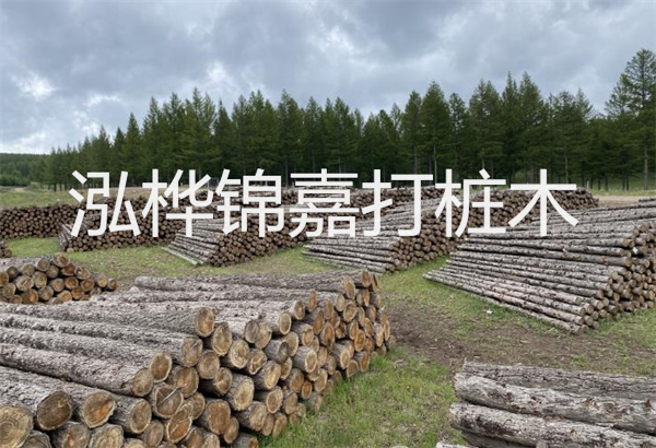 預(yù)制松木樁施工工藝：優(yōu)質(zhì)材料，高效快速，堅(jiān)固耐用