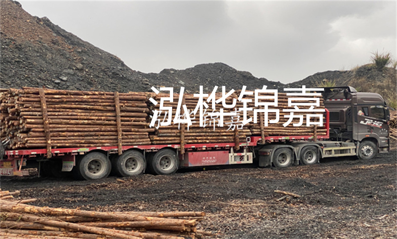 大理松木樁哪里賣？選擇合適的松木樁來(lái)保護(hù)你的建筑