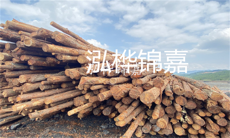 濮陽松木樁，卓越品質，安全可靠