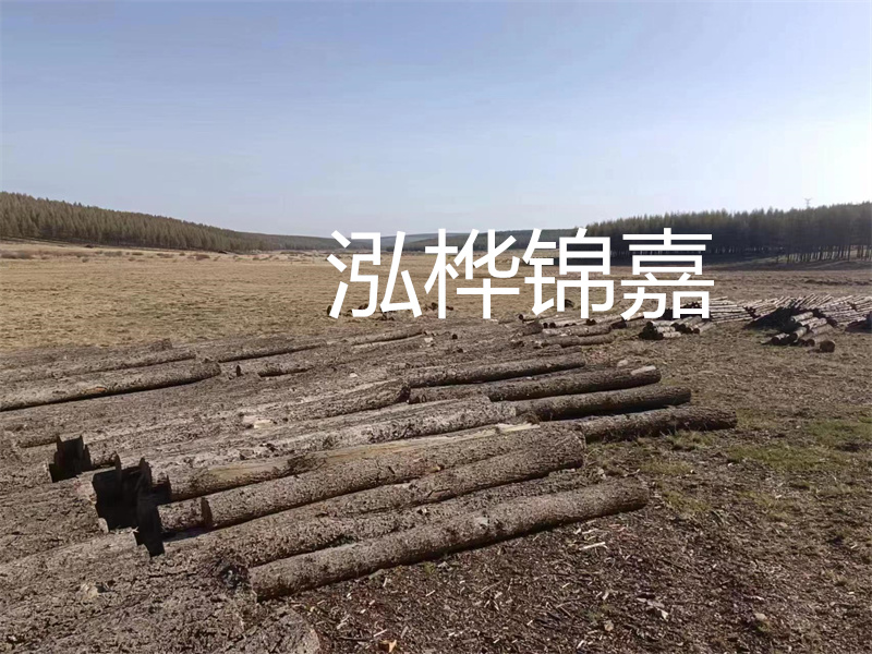 鄂州松木樁哪里好？推薦泓樺錦嘉松木樁業(yè)！